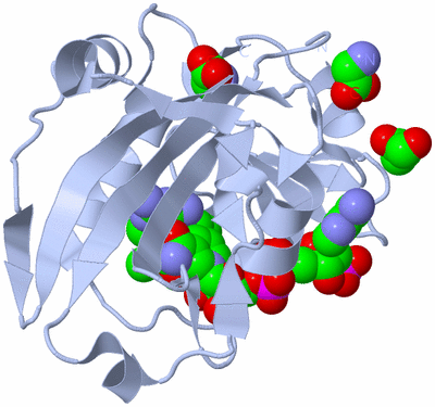 Image Biological Unit 1