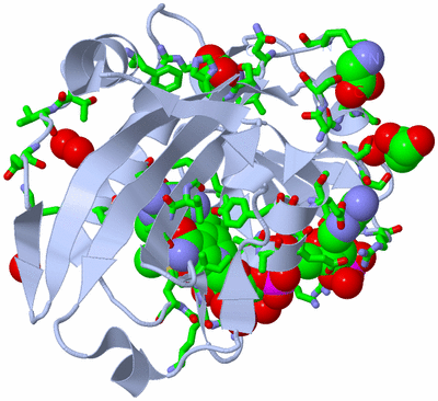 Image Biol. Unit 1 - sites