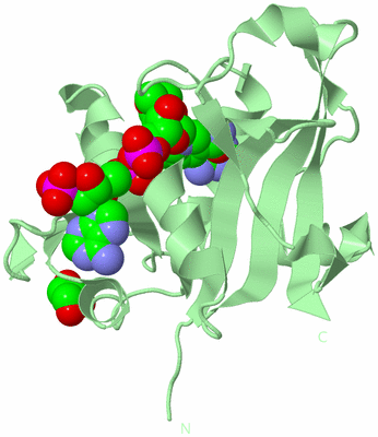 Image Biological Unit 2