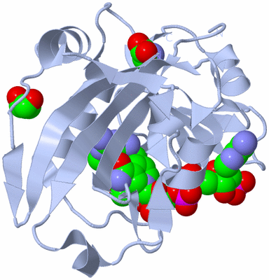 Image Biological Unit 1