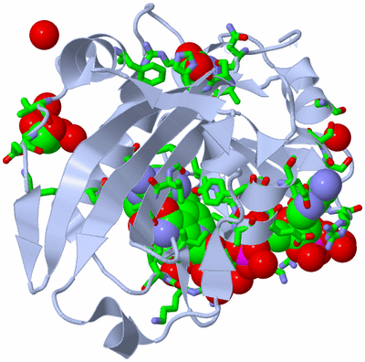 Image Biol. Unit 1 - sites