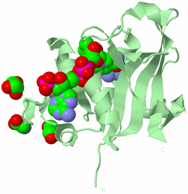 Image Biological Unit 2