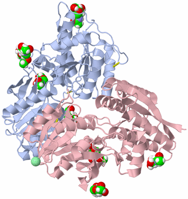 Image Biological Unit 1