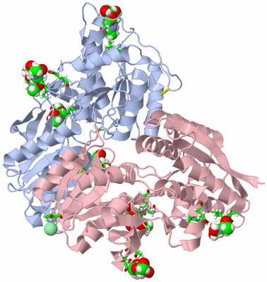 Image Biol. Unit 1 - sites