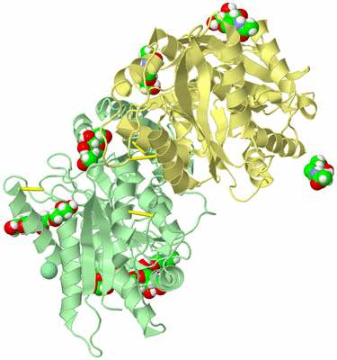 Image Biological Unit 2