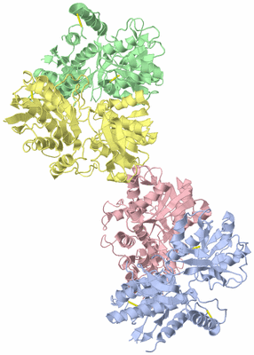 Image Biological Unit 1