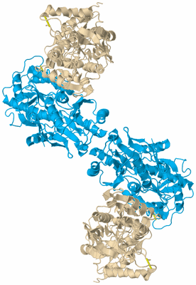 Image Biological Unit 3