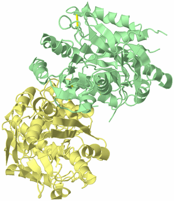 Image Biological Unit 5