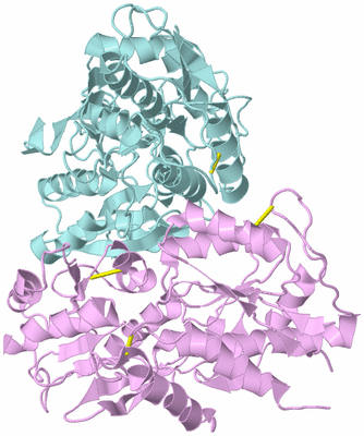 Image Biological Unit 6