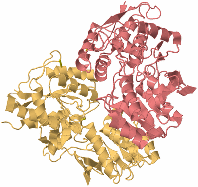 Image Biological Unit 7