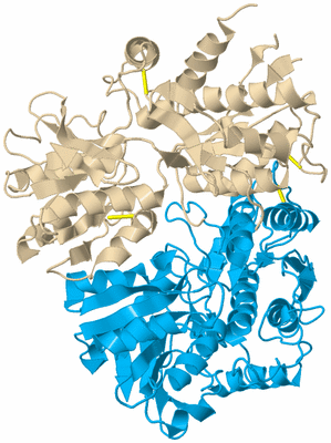 Image Biological Unit 8