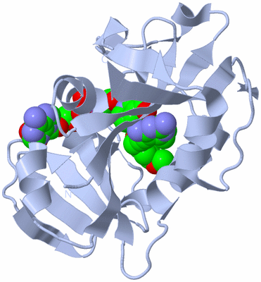 Image Biological Unit 1