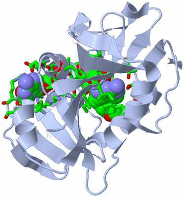 Image Biol. Unit 1 - sites