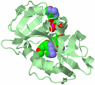 Image Biological Unit 2