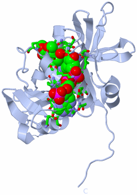 Image Biol. Unit 1 - sites