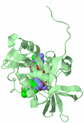 Image Biological Unit 2