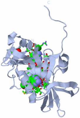 Image Biol. Unit 1 - sites