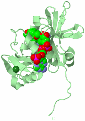 Image Biological Unit 2