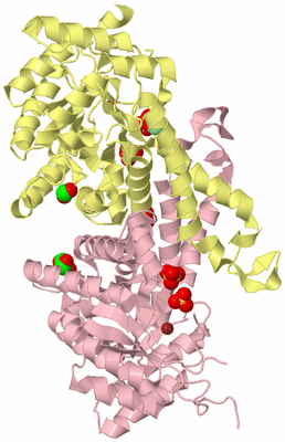 Image Biological Unit 2