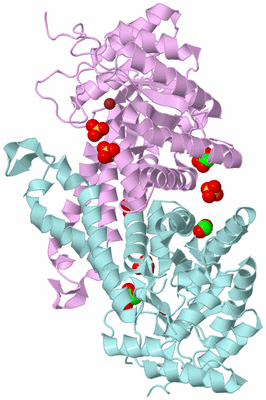 Image Biological Unit 3