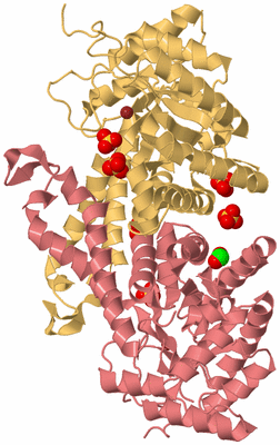 Image Biological Unit 4