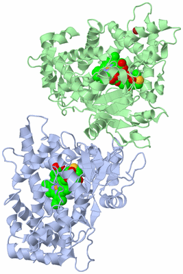 Image Asym./Biol. Unit