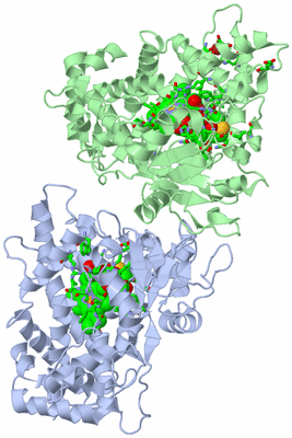 Image Asym./Biol. Unit - sites