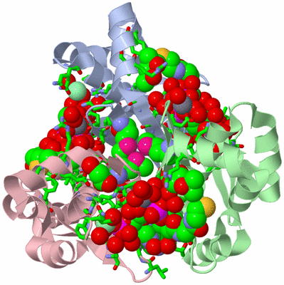 Image Biol. Unit 1 - sites