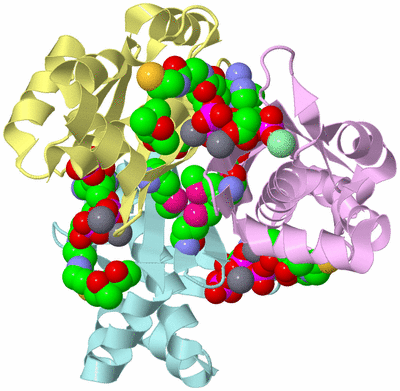 Image Biological Unit 2