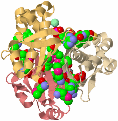 Image Biological Unit 3