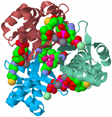 Image Biological Unit 4