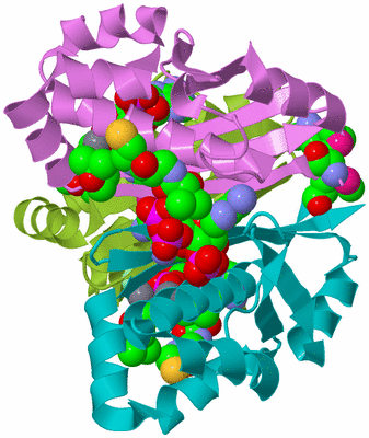 Image Biological Unit 5