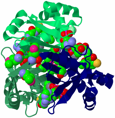 Image Biological Unit 6