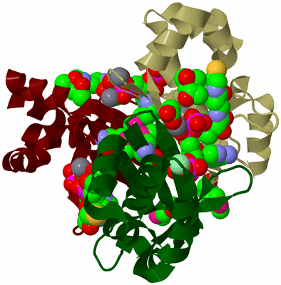 Image Biological Unit 7