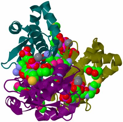 Image Biological Unit 8