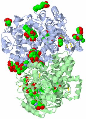 Image Asym./Biol. Unit