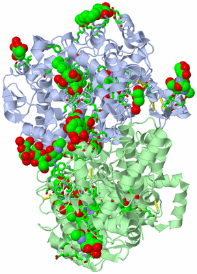 Image Asym./Biol. Unit - sites