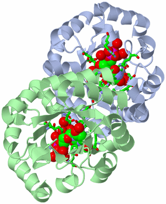 Image Asym./Biol. Unit - sites