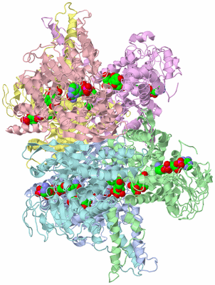 Image Biological Unit 1