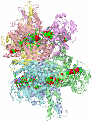 Image Biol. Unit 1 - sites