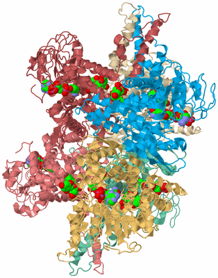 Image Biological Unit 2