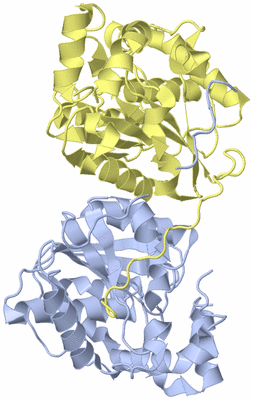 Image Biological Unit 1