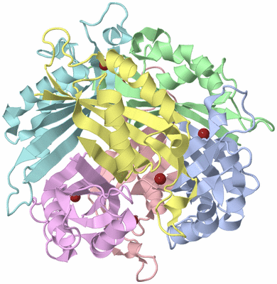 Image Asym./Biol. Unit