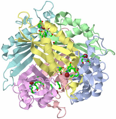 Image Asym./Biol. Unit - sites