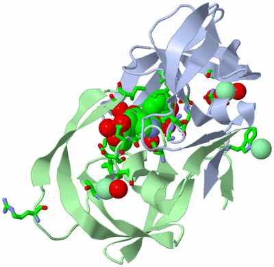 Image Asym./Biol. Unit - sites