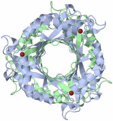 Image Biological Unit 1