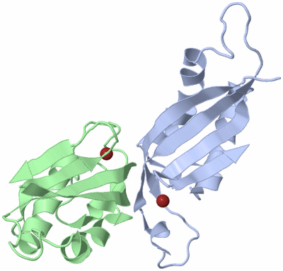 Image Biological Unit 2