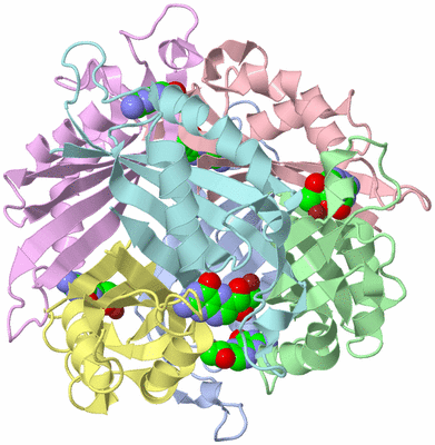 Image Asym./Biol. Unit