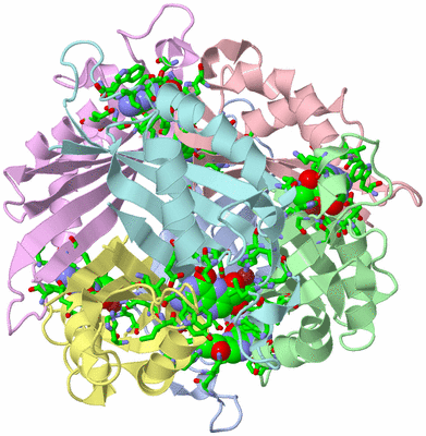 Image Asym./Biol. Unit - sites