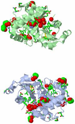 Image Biol. Unit 1 - sites